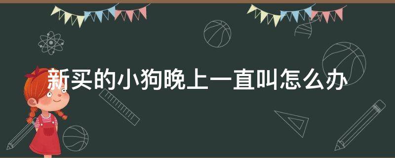 新买的小狗晚上一直叫怎么办 刚买的小狗晚上老叫唤怎么办