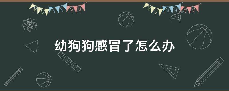 幼狗狗感冒了怎么办 幼犬感冒了怎么办?