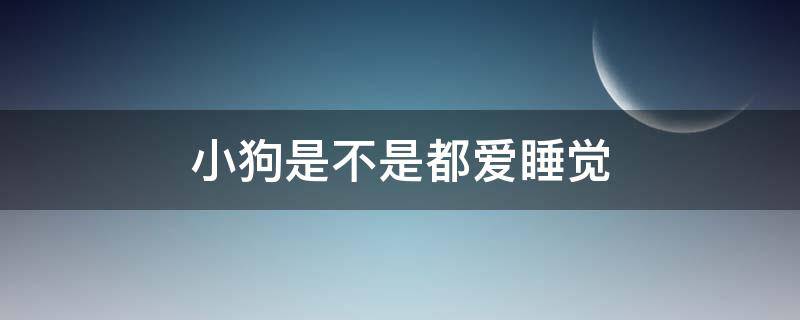 小狗是不是都爱睡觉（小狗是不是都很爱睡觉）