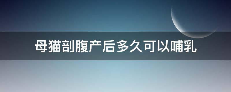 母猫剖腹产后多久可以哺乳 母猫剖腹产之后多久可以生