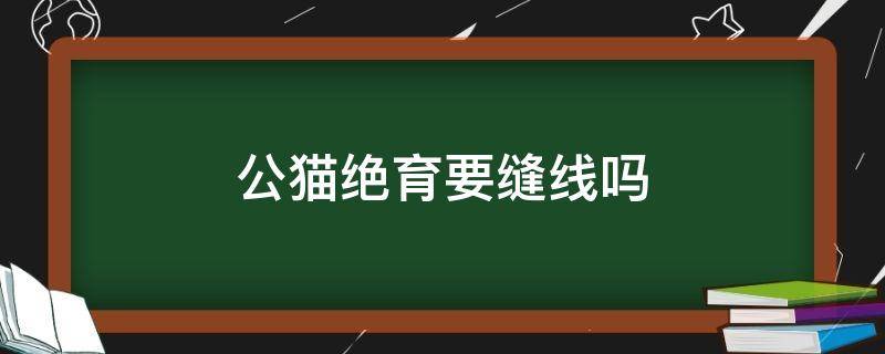 公猫绝育要缝线吗 公猫绝育用普通线缝不拆行吗