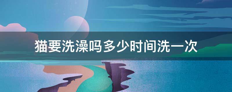 猫要洗澡吗多少时间洗一次（多长时间给猫洗一次澡比较合适）