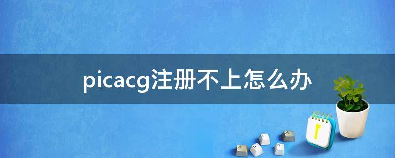 picacg注册不上怎么办 picacg没办法注册