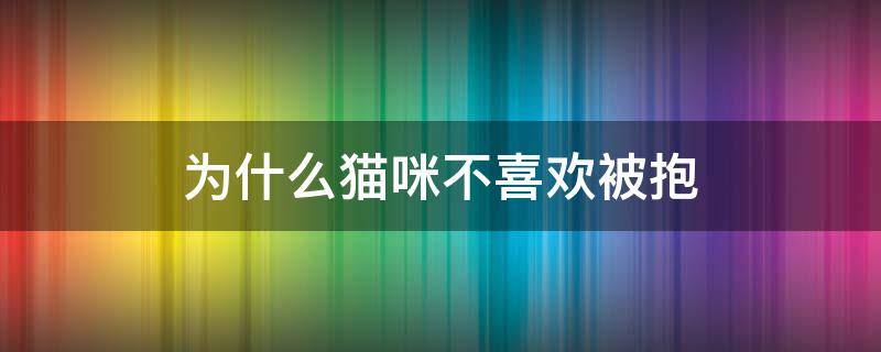 为什么猫咪不喜欢被抱（为什么猫咪不喜欢被抱却很粘人）