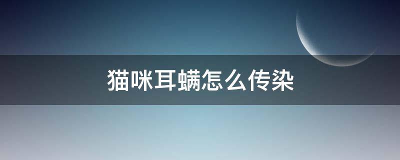 猫咪耳螨怎么传染（猫咪耳螨怎么传染给人）