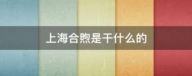 上海合煦是干什么的(上海合煦是干啥的)