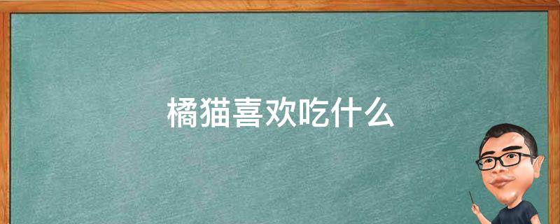 橘猫喜欢吃什么（橘猫喜欢吃什么猫粮）