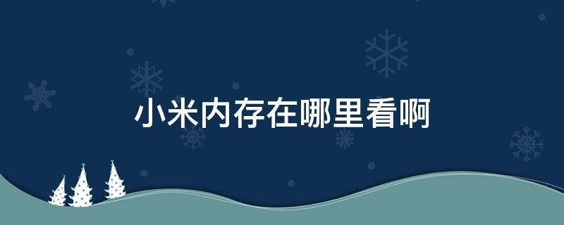 小米内存在哪里看啊 小米手机内存在哪里看