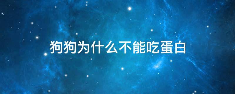 狗狗为什么不能吃蛋白可以吃蛋黄 狗狗为什么不能吃蛋白