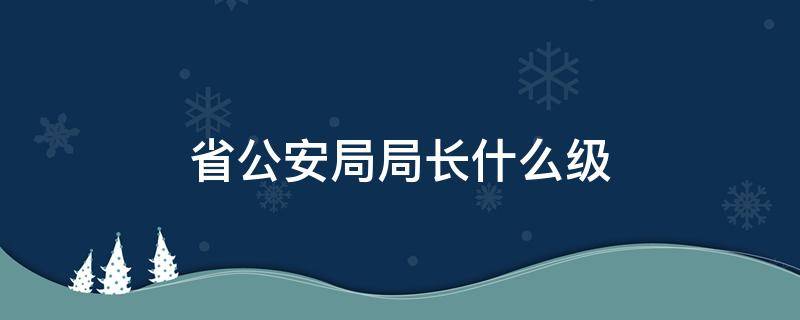 省公安局局长什么级 省公安局局长什么级别干部