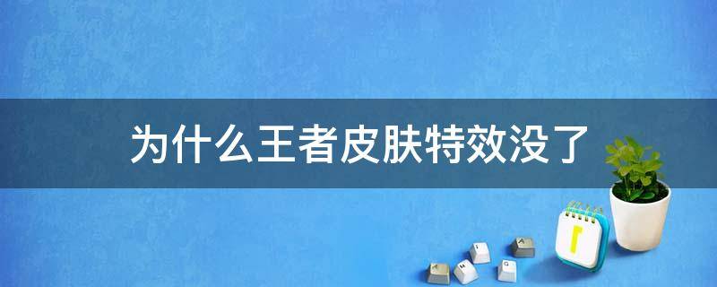 为什么王者皮肤特效没了（王者荣耀为什么有的皮肤特效显示不出来）