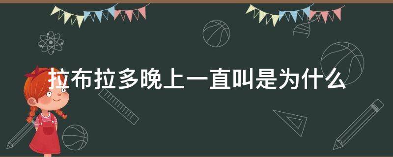 拉布拉多晚上一直叫是为什么 拉布拉多晚上叫是什么原因