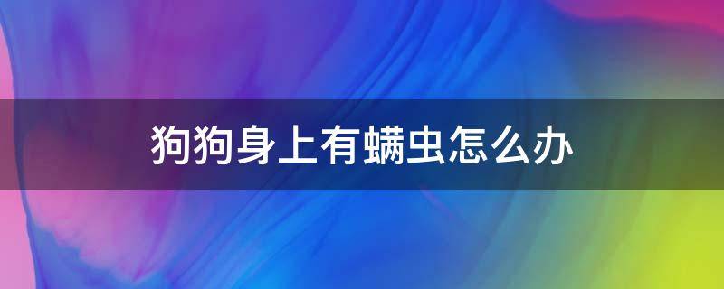 狗狗身上有螨虫怎么办 狗身上有很多螨虫怎么办