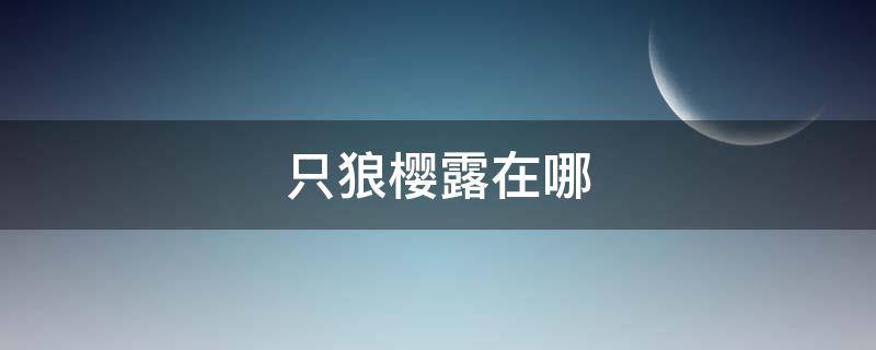 只狼樱露在哪（只狼樱露不见了）