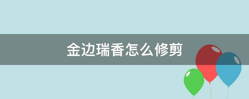 金边瑞香怎么修剪 金边瑞香怎么修剪视频