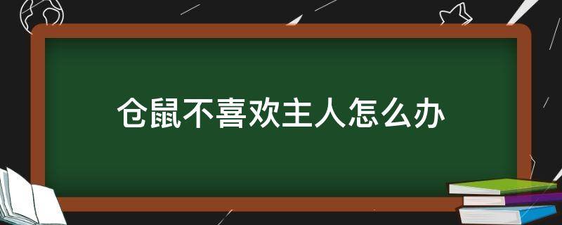 仓鼠不喜欢主人怎么办 仓鼠喜欢主人吗