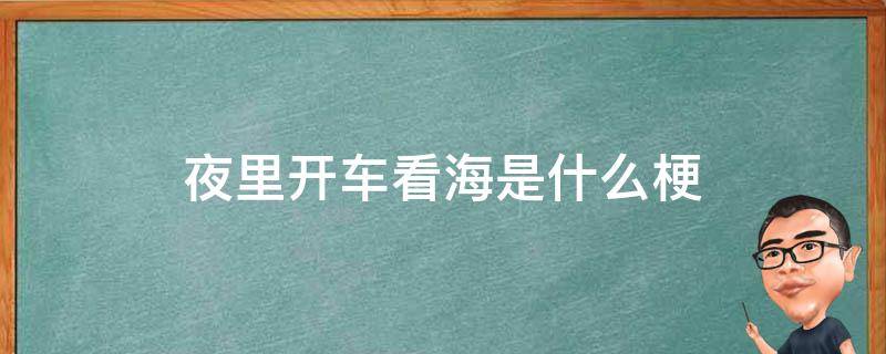 在夜里开车看海 夜里开车看海是什么梗