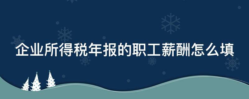 企业所得税年报的职工薪酬怎么填 企业所得税年报的职工薪酬怎么填写