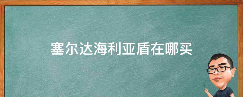 塞尔达海利亚盾在哪买（塞尔达卖海利亚盾的商人在哪）