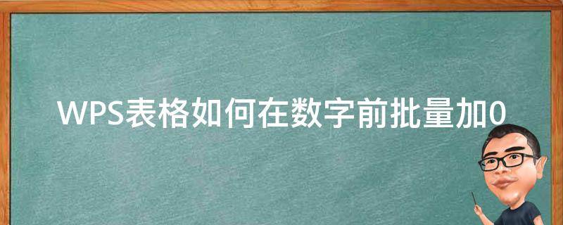 WPS表格如何在数字前批量加0 wps表格前面加零怎么加