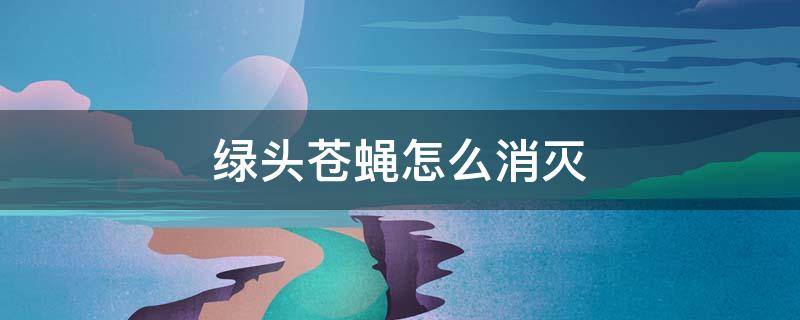 绿头苍蝇怎么消灭（绿头的苍蝇）