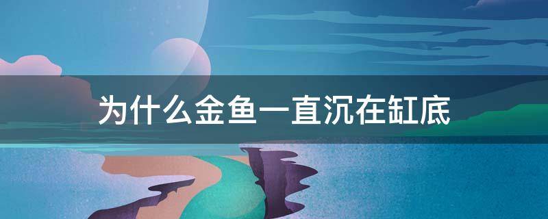 为什么金鱼一直沉在缸底（金鱼总是沉在缸底不动）