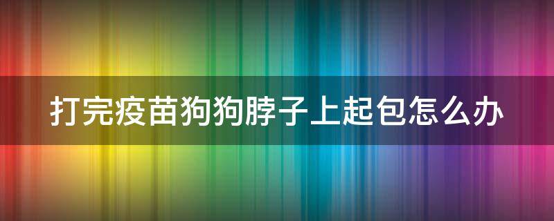 打完疫苗狗狗脖子上起包怎么办（狗打完疫苗脖子那有硬块一样的）