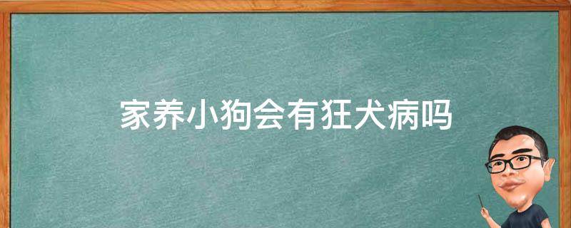 家里养的小狗会得狂犬病吗 家养小狗会有狂犬病吗