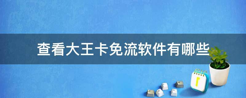 查看大王卡免流软件有哪些 大王卡免流量软件都有哪些