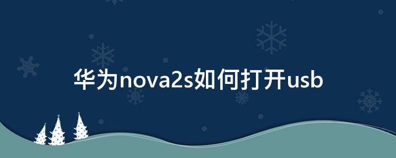 华为nova2s如何打开usb（华为nova2s如何打开悬浮窗）