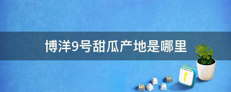 博洋9号甜瓜产地是哪里（博洋9号甜瓜百度百科）