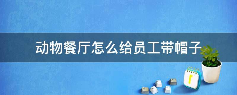 动物餐厅怎么给员工带帽子 动物餐厅怎么给员工戴帽子