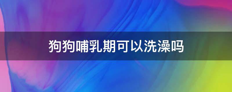 狗狗哺乳期可以洗澡吗 狗狗哺乳期间能洗澡吗