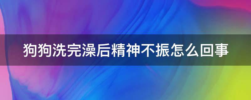 狗狗洗完澡后精神不振怎么回事（狗狗洗澡后突然精神不好）