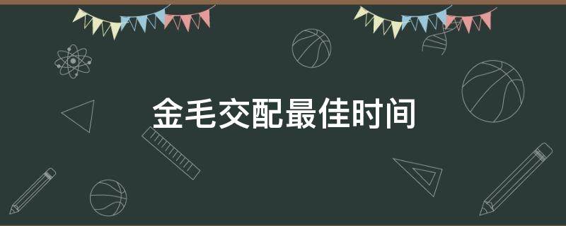 金毛交配最佳时间 金毛交配时长大概多久