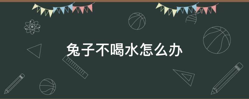 兔子不喝水怎么办 兔子不喝水没事吧