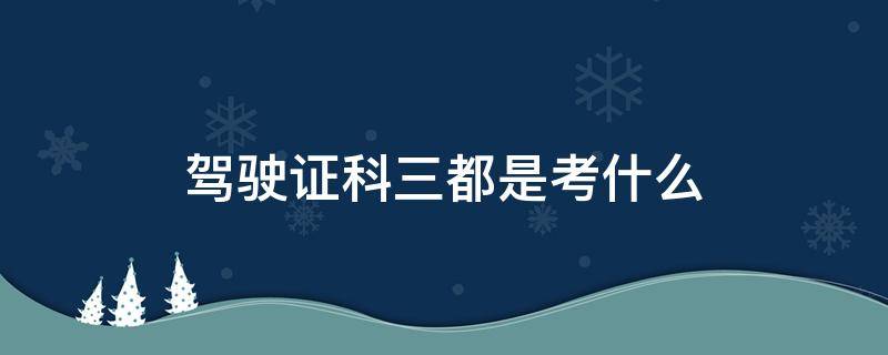 驾驶证科三都是考什么 驾照科目三都考什么