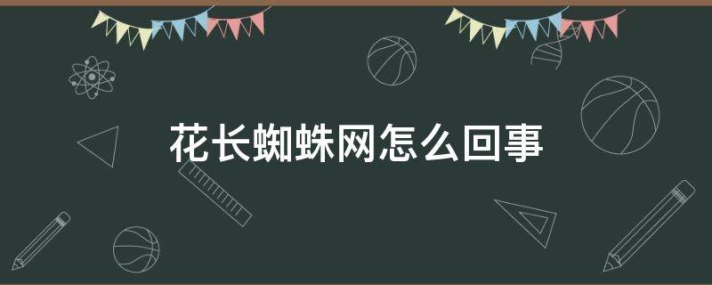 花长蜘蛛网怎么回事 花上面有蜘蛛网怎么回事