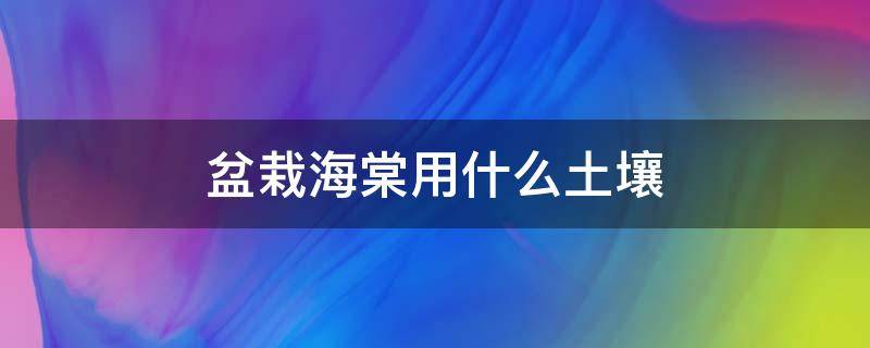 盆栽海棠用什么土壤 海棠要什么土壤