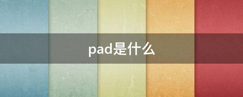 pad是什么（pad是什么意思）