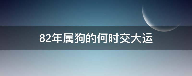 82年属狗的何时交大运（82年属狗的什么时候交大运）