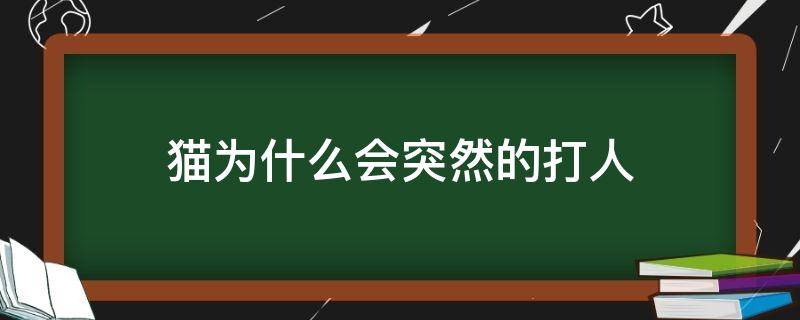 猫为什么会突然的打人 猫为什么会莫名其妙打人