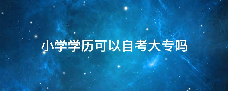 小学学历可以自考大专吗 小学自考大专学历认可吗?