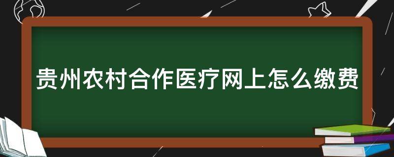 贵州农村合作医疗网上怎么缴费 贵州农村合作医疗网上缴费怎么交