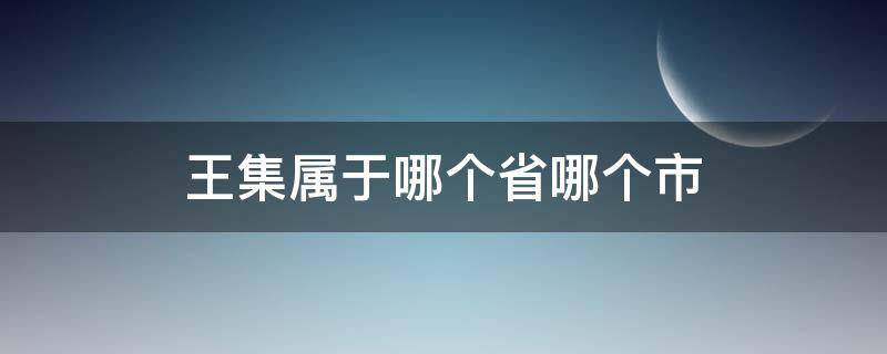 王集属于哪个省哪个市（王集乡属于哪个市）