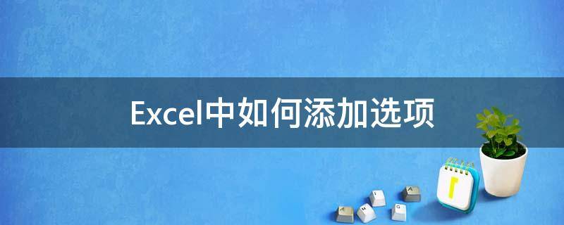 Excel中如何添加选项 excel里面怎么添加选项