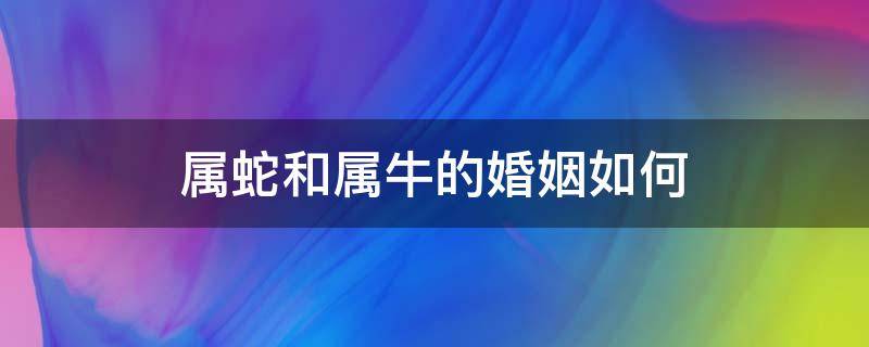 属蛇和属牛的婚姻如何 属蛇跟属牛的婚姻状况