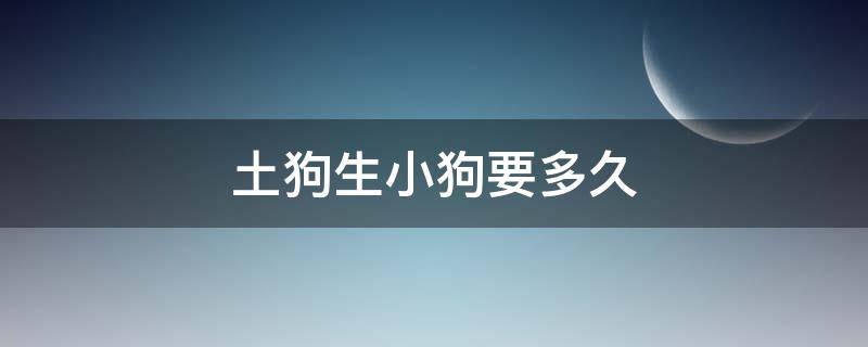 土狗生小狗要多久 土狗生小狗要多久生一个