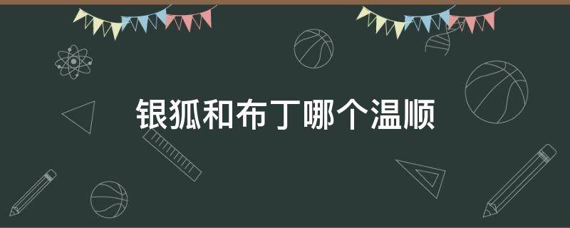 银狐和布丁哪个温顺 银狐和布丁两个哪个更好养