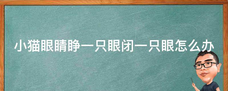 小猫眼睛睁一只眼闭一只眼怎么办（小猫眼睛一只睁开一只睁不开）